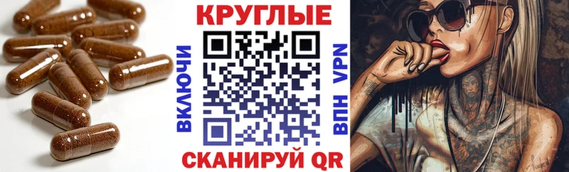 Ecstasy XTC мега ссылки Белая Холуница