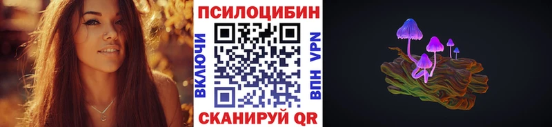 Псилоцибиновые грибы мицелий  Белая Холуница 